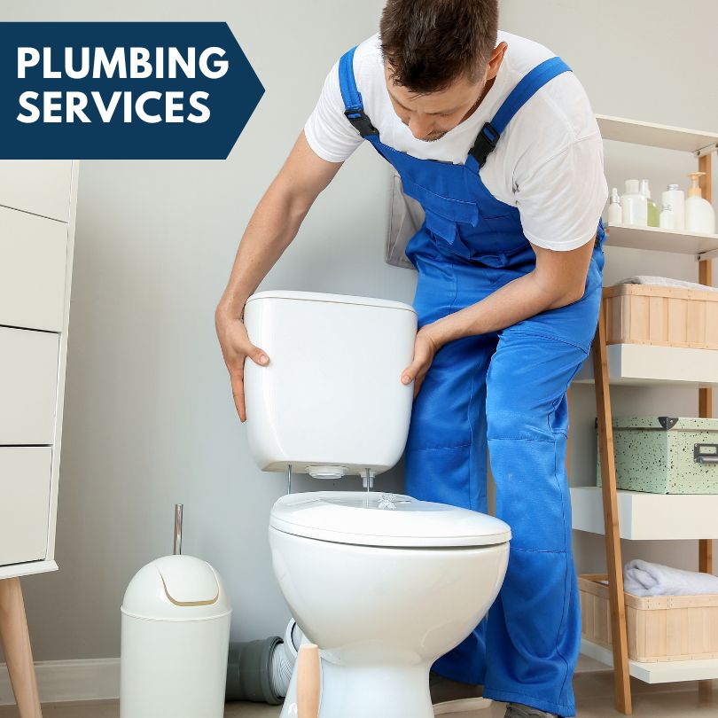 Plumbing Company in Dunedin, FL