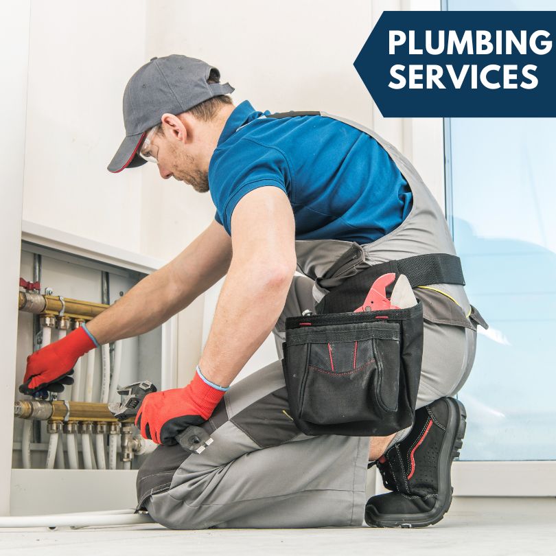 Dunedin Plumbing Company